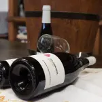 23° Concorso enologico internazionale 'Vinalies d'Or 2017' di Parigi