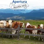 Altipiani Cimbri: tra bellezze naturalistiche e prodotti tipici da assaggiare