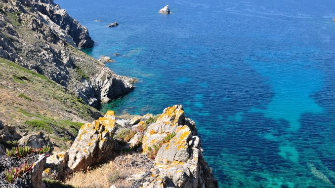 corsica corsica